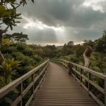 Destinos imperdíveis no nordeste do Brasil